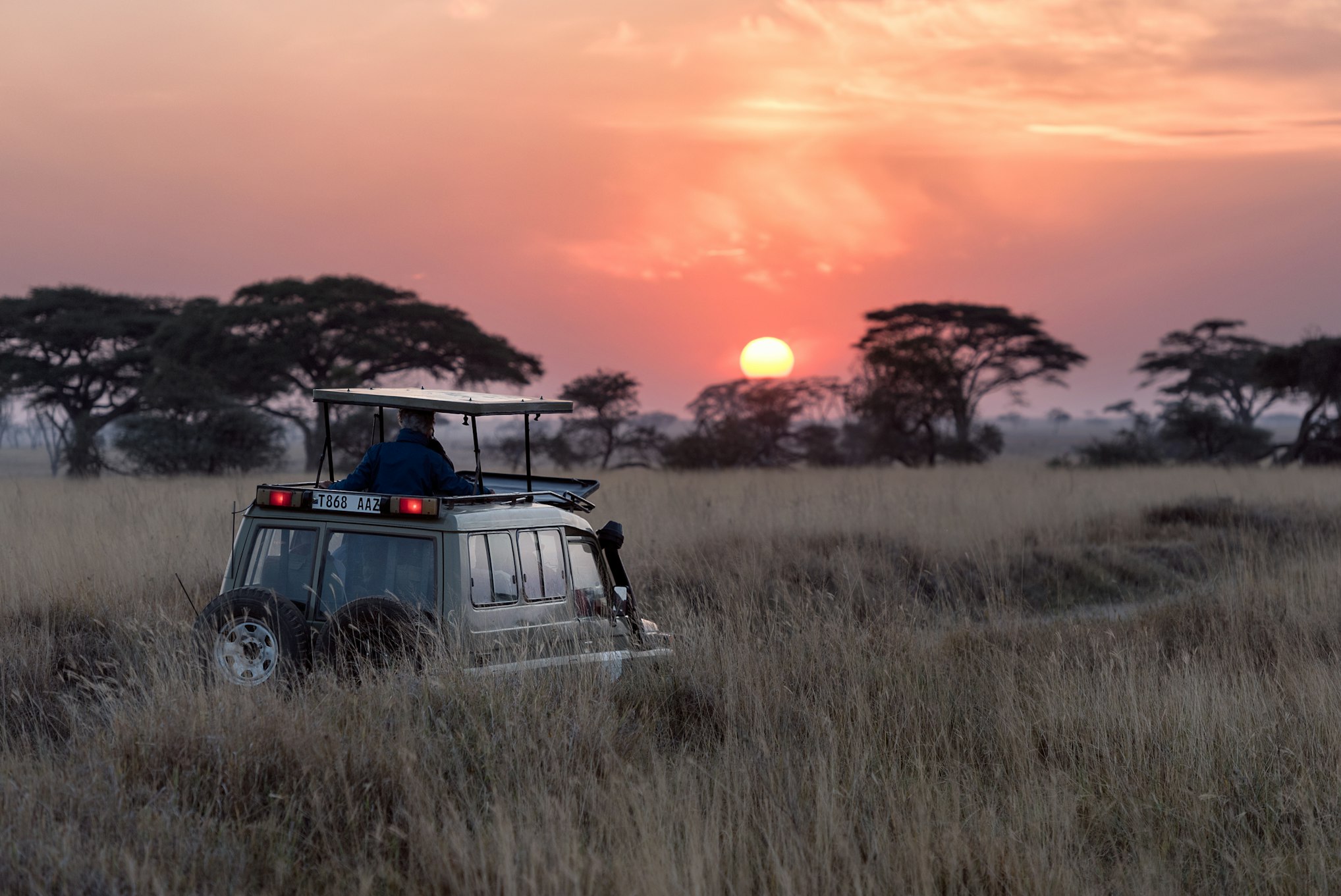 Family Safari