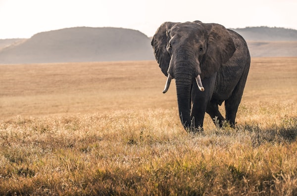 3 Days Lake Nakuru & Lake Naivasha